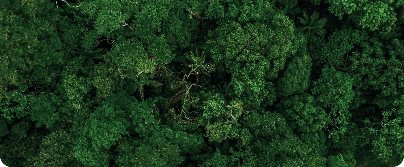 Compromisso com o meio ambiente